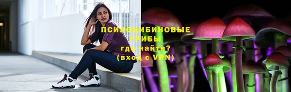 круглые Магас