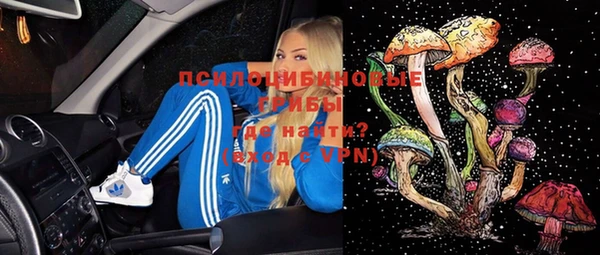эйфоретик Майский