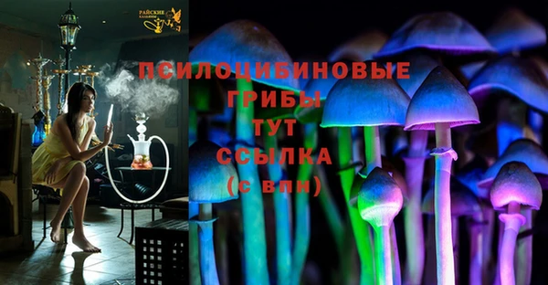 эйфоретик Майский