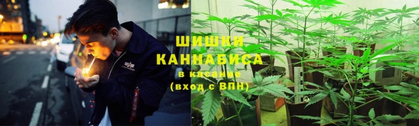 эйфоретик Майский