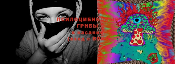 круглые Магас